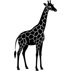 Obraz premium a tall and graceful black silhouette of a giraffe standing with its long neck stretched upwards 