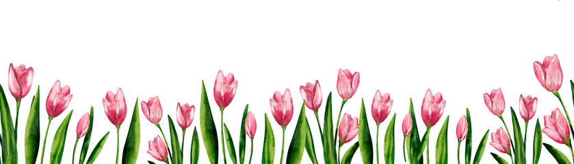 Seamless Watercolor Tulip Border Pattern – Vintage Floral Banner for Easter, Wedding, and Springtime Design