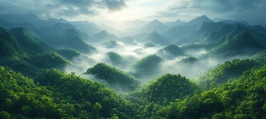 Misty Tropical Rainforest Jungle Landscape View with Dense Foliage and Sunlight
