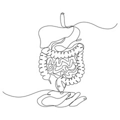 Continuous single line of hand holding intestine bowel colon human biology internal organ medical. Donation donor love charity sketch drawing editable stroke vector illustration