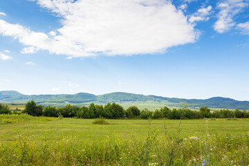 countryside landscape with field near the hill. beautiful nature of ukraine in summer. blue sky with clouds