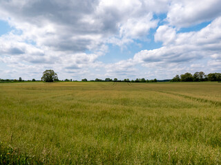Beautiful landscape in the foothills of the Bavarian Alps.