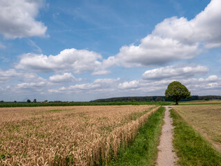 Beautiful landscape in the foothills of the Bavarian Alps.