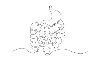 Continuous single line of intestine bowel colon human biology internal organ medical sketch drawing editable stroke vector illustration