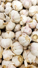 a pile of fresh garlic