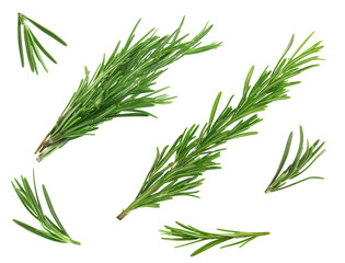 Fresh green rosemary isolated on white, set