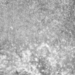 snow-white summer meadow