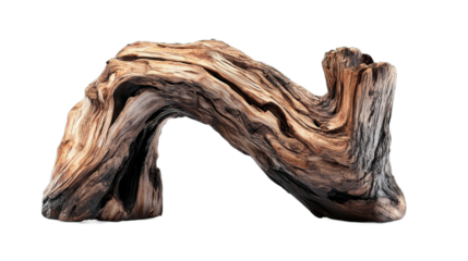 Beautifully shaped driftwood suitable for decor