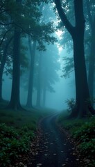 Fototapeta premium Dark,fog-shrouded trail,ancient trees looming, pathway, environment, dark