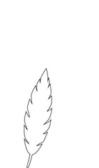 feather on white background.Black Feather Vector Set - Elegant Outline Illustration for Design and Decoration