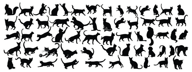 silhouette cat on white background, set