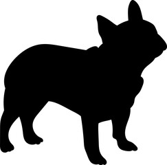 french bulldog standing silhouette, vector on white background