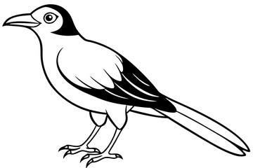 bird line art silhouette vector illustration
