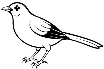bird line art silhouette vector illustration