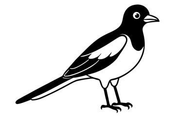 bird line art silhouette vector illustration