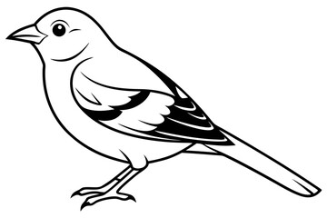 bird line art silhouette vector illustration
