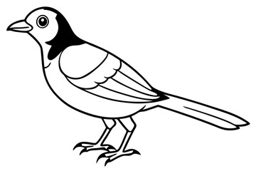 bird line art silhouette vector illustration