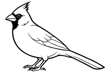 cardinal line art silhouette vector illustration