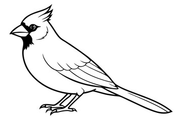 cardinal line art silhouette vector illustration