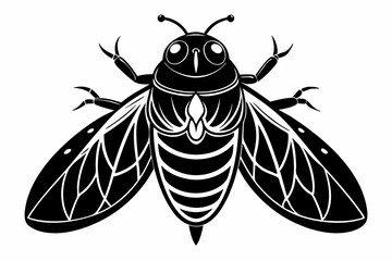 cicada line art silhouette vector illustration