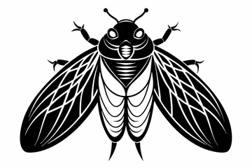 cicada line art silhouette vector illustration