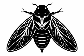 cicada line art silhouette vector illustration