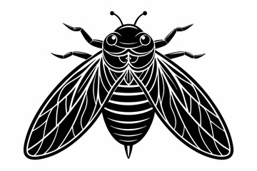 cicada line art silhouette vector illustration