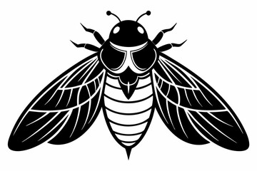 cicada line art silhouette vector illustration