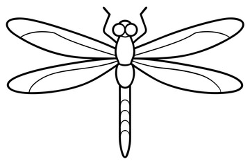 dragonfly line art silhouette vector illustration