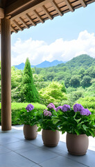 Serene view of potted hydrangeas on a veranda overlooking lush mountains under a clear sky