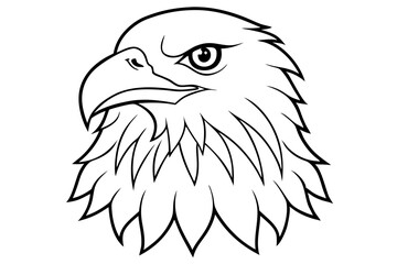 eagle head line art silhouette vector illustration