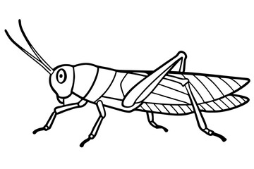grasshopper line art silhouette vector illustration