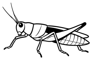 grasshopper line art silhouette vector illustration