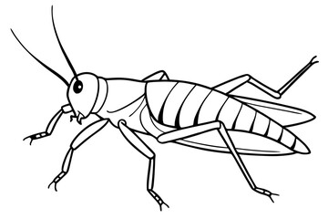 grasshopper line art silhouette vector illustration