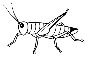 grasshopper line art silhouette vector illustration