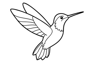 hummingbird line art silhouette vector illustration