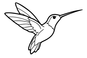 hummingbird line art silhouette vector illustration