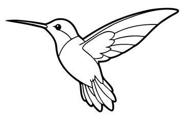 hummingbird line art silhouette vector illustration