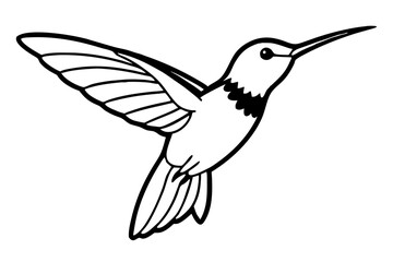 Fototapeta premium hummingbird line art silhouette vector illustration