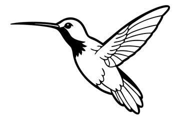 hummingbird line art silhouette vector illustration