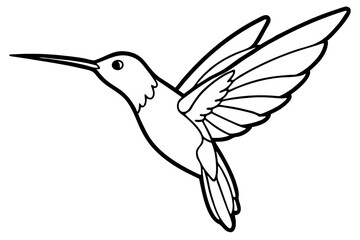 hummingbird line art silhouette vector illustration