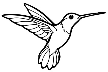 hummingbird line art silhouette vector illustration
