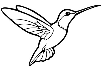 hummingbird line art silhouette vector illustration
