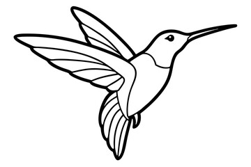 hummingbird line art silhouette vector illustration