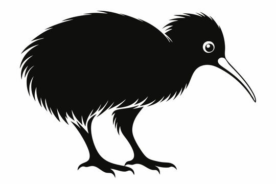 recommend clip art: kiwi bird line art silhouette vector illustration