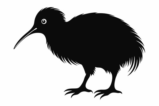 recommend clip art: kiwi bird line art silhouette vector illustration