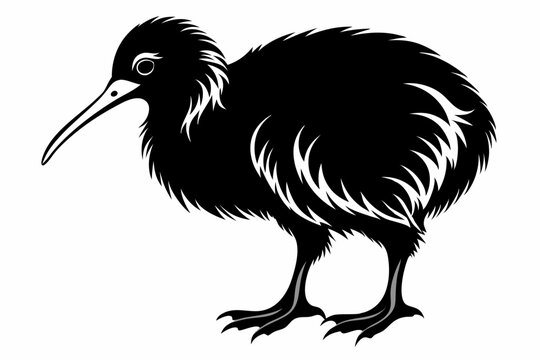 recommend clip art: kiwi bird line art silhouette vector illustration