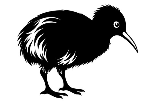 recommend clip art: kiwi bird line art silhouette vector illustration