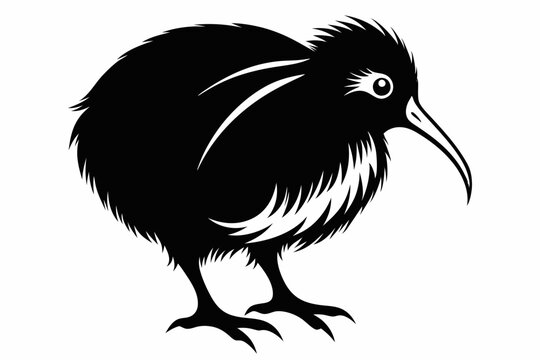 recommend clip art: kiwi bird line art silhouette vector illustration