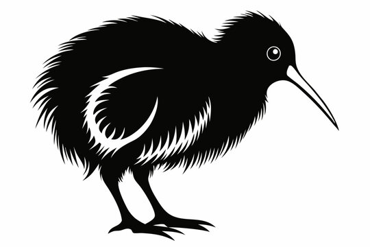 recommend clip art: kiwi bird line art silhouette vector illustration